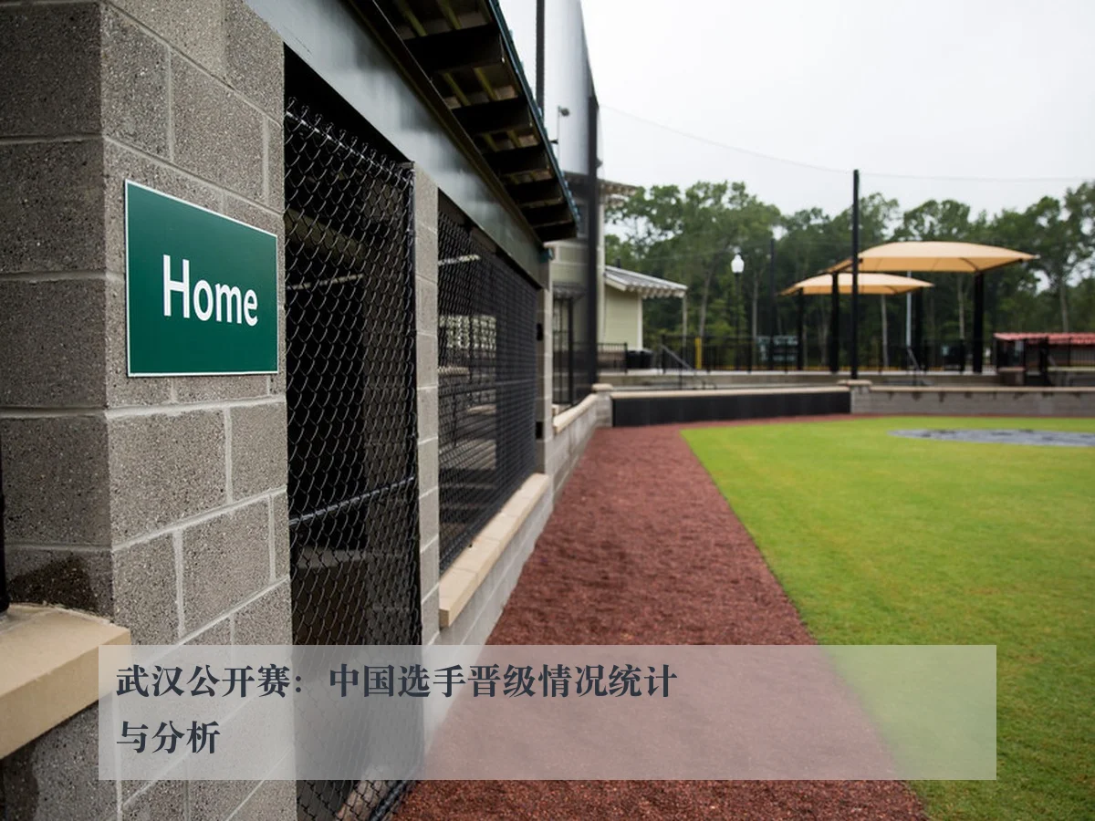 武汉公开赛:中国选手晋级情况统计与分析